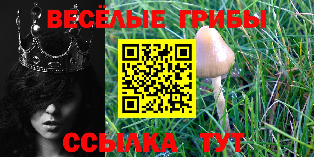 Псилоцибиновые грибы мухоморы Россия
