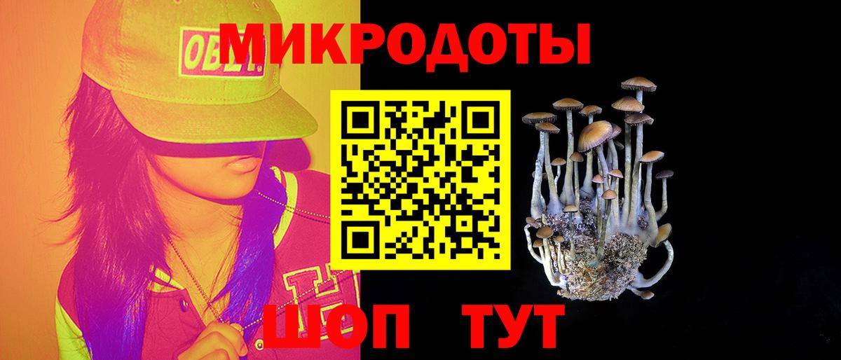 Псилоцибиновые грибы Psilocybine cubensis  Псилоцибиновые грибы мухоморы  Вход с VPN  Россия 