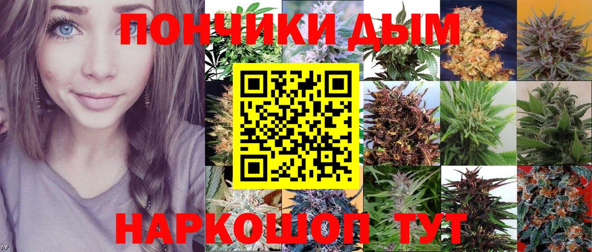 Канабис OG Kush Россия